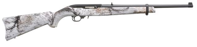 Ruger 10/22