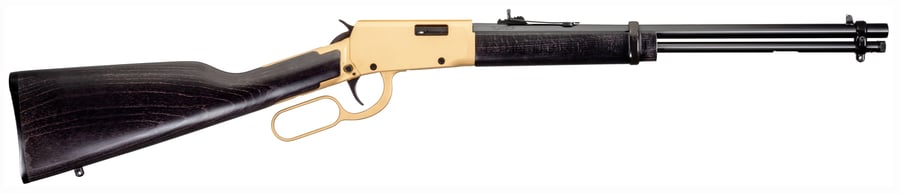 Rossi Rio Bravo