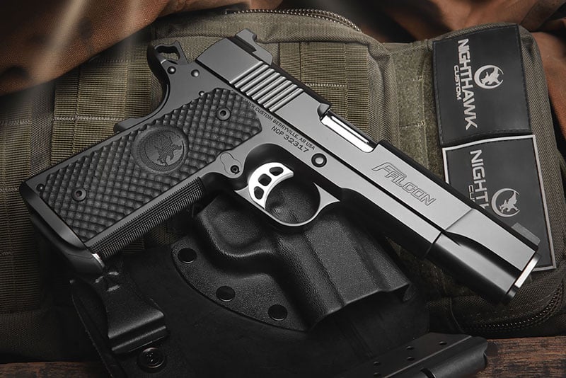 Nighthawk Custom Falcon