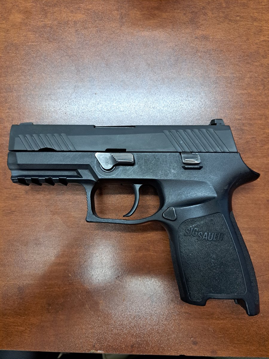 SIG Sauer 320 P320 Compact