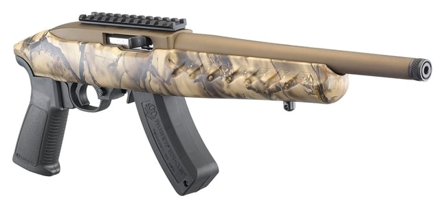 Ruger 22 Charger