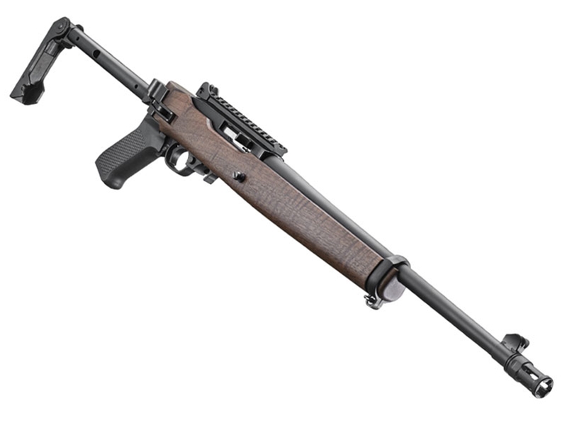 Ruger 10/22