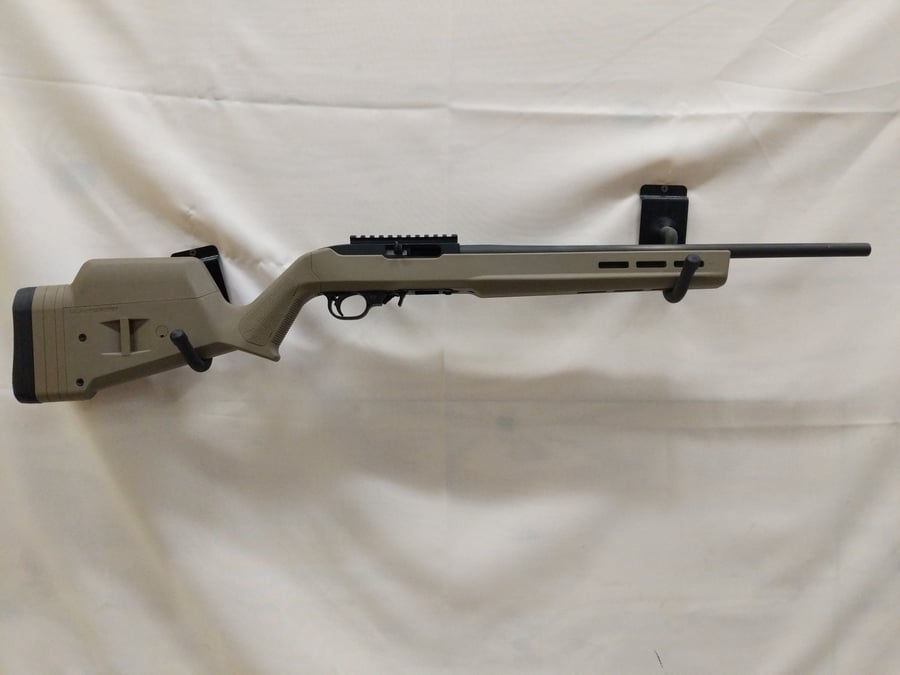 Ruger 10 22