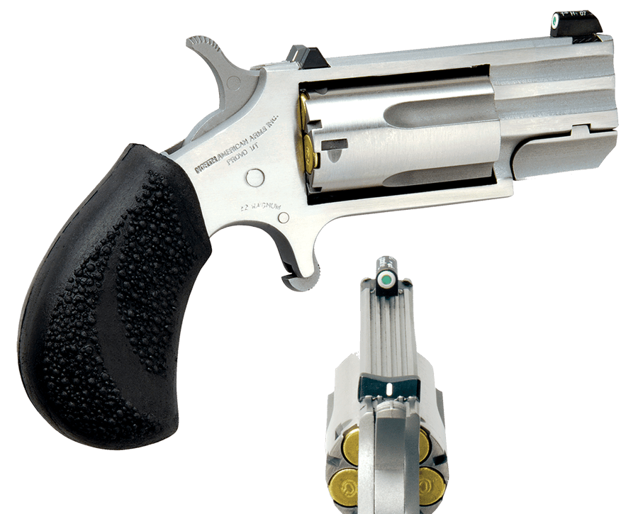 North American Arms 22m Pug Tritium
