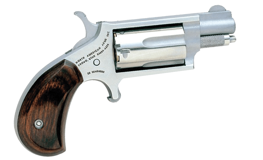 North American Arms 22m