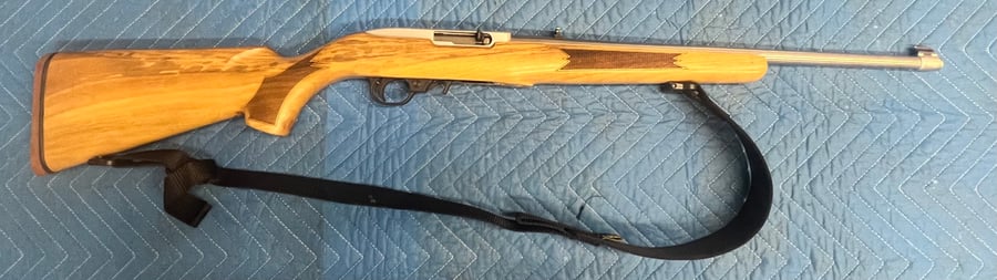 Ruger 10/22