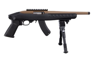 Ruger 22 Charger