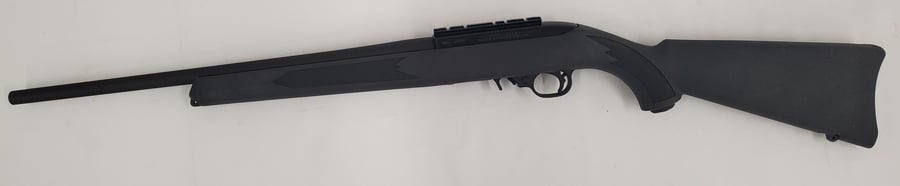 Ruger '10/22'