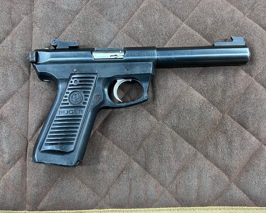 Ruger 22/45