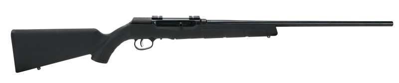 Savage Arms A22